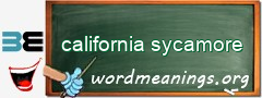 WordMeaning blackboard for california sycamore